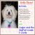 Cards and E-Cards Category - cards, ecards, e-cards, create, electronic greetings, greeting cards, ecards and postcards